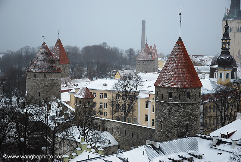 成都注册爱沙尼亚公司(成都注册爱沙尼亚公司条件)