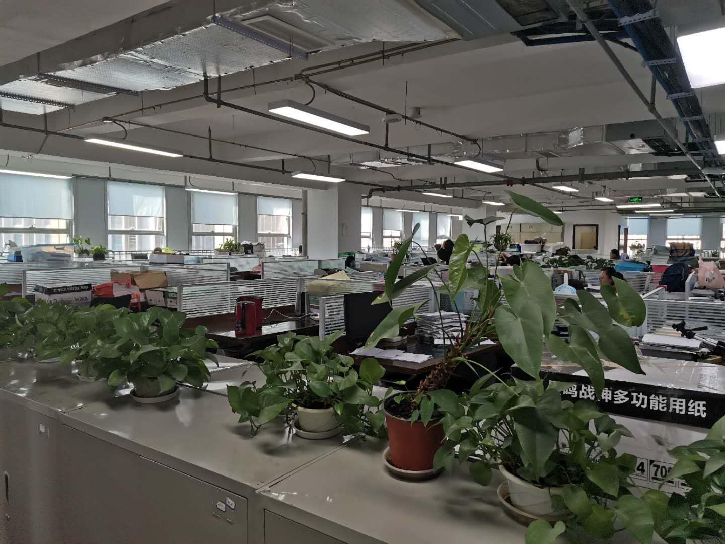 在成都金堂注册公司(在成都金堂注册公司多少钱)