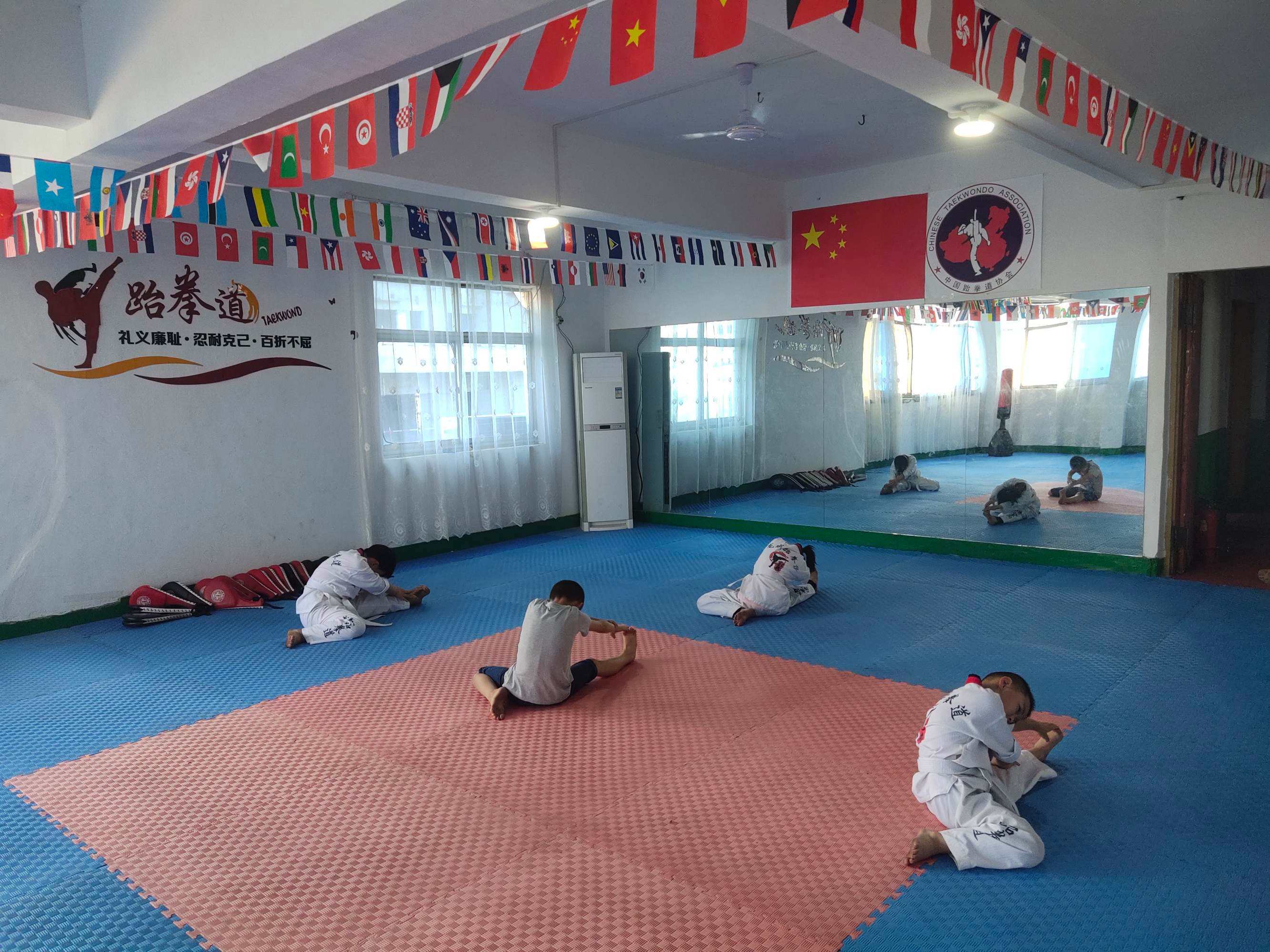 成都龙珠跆拳道注册没有的简单介绍