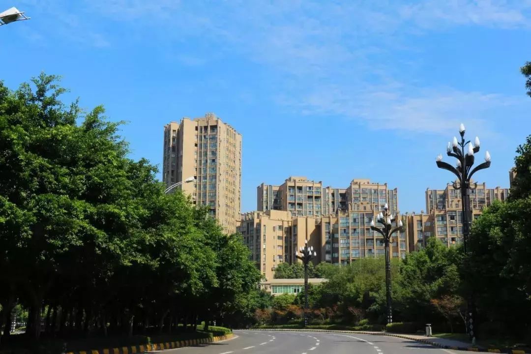 成都市青白江区注册个体工商户(青白江个体商户办营业执照的地方)