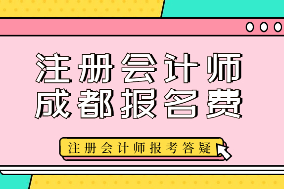 注册会计师去成都有哪些政策(注册会计师去成都有哪些政策支持)