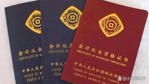 成都注册会计师考试要求(成都2020年注册会计师考试时间)