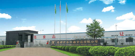 成都市公司注册核名青羊区(成都青羊区注册公司在哪儿申请工商注册)