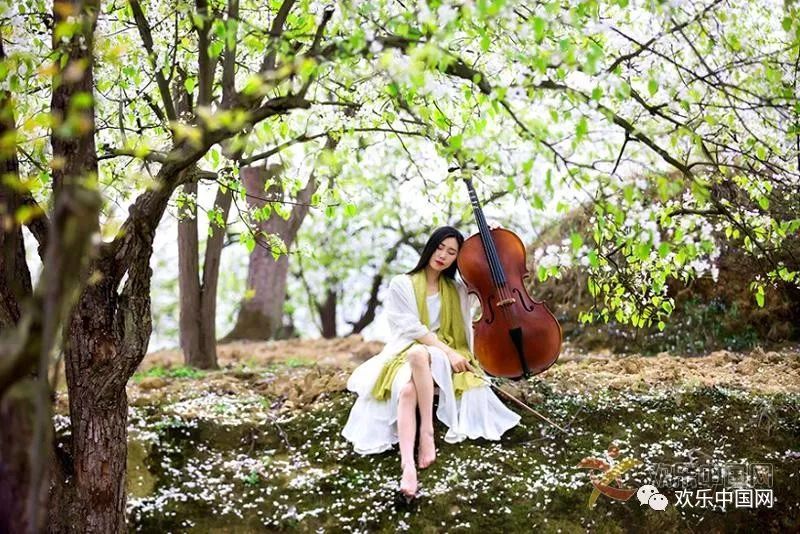 欢乐中国网成都注册(欢乐中国网成都注册地址)