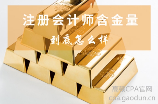 成都会计招聘注册会计(成都会计招聘注册会计人员)