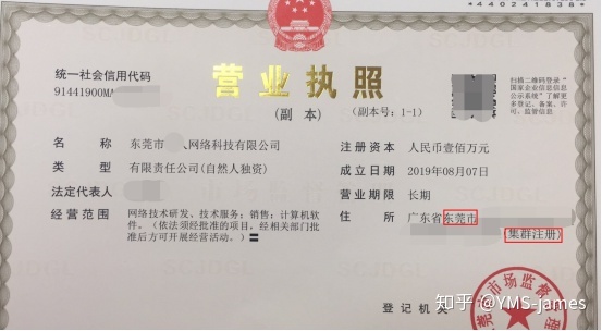 成都入驻集群注册的公司(成都入驻集群注册的公司有哪些)