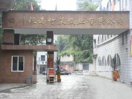 成都注册纸制品公司注意事项有哪些(成都注册纸制品公司注意事项有哪些呢)