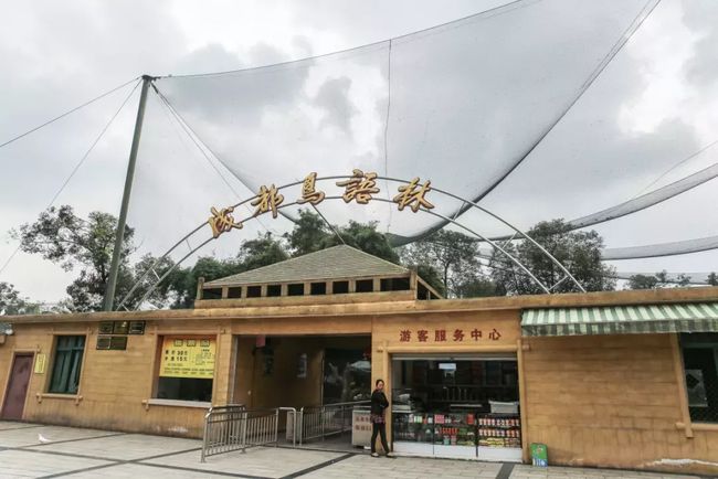 成都鸟语林注册资金(成都塔子山公园鸟语林)