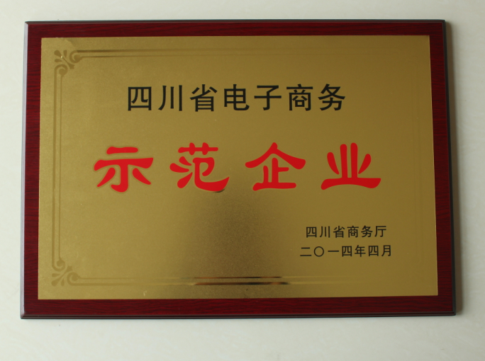 注册成都网络公司(成都注册有多少家公司)