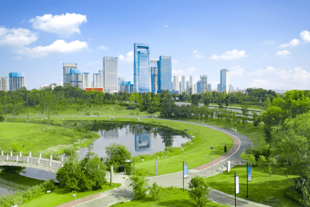 包含公司注册成都天府新区仪陇荥经的词条