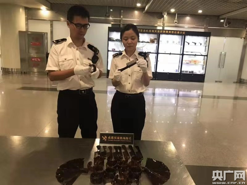 成都海关注册备案(成都海关注册备案公示)