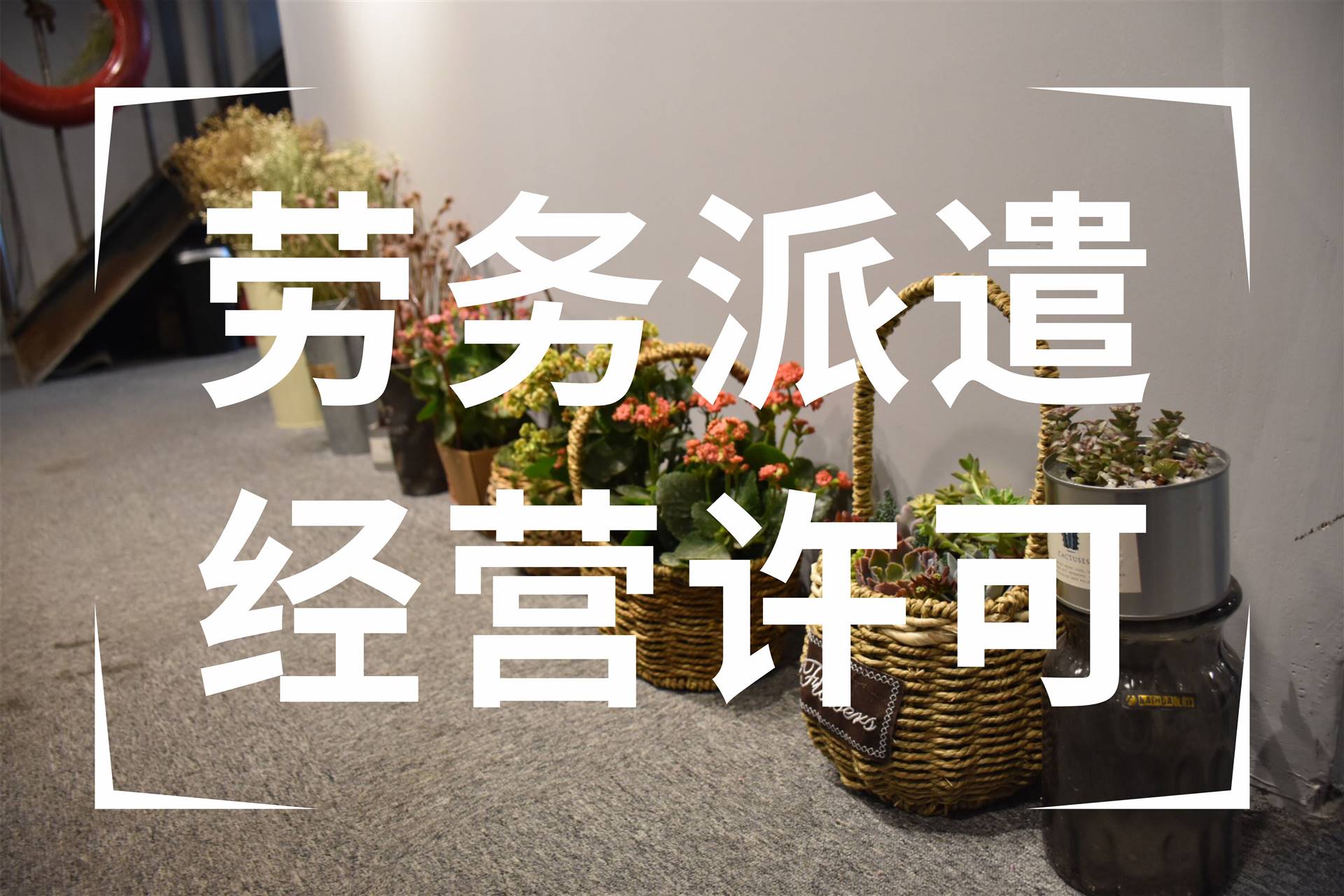 成都注册劳务派遣公司名称(成都劳务派遣公司电话招聘信息)