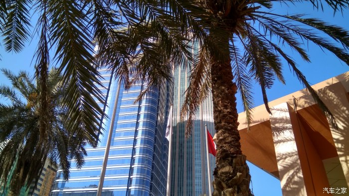 成都注册阿联酋公司多少钱(成都注册阿联酋公司多少钱一年)