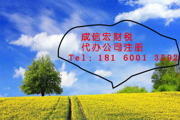 成都正规公司注册哪家比较好(成都正规公司注册哪家比较好一点)