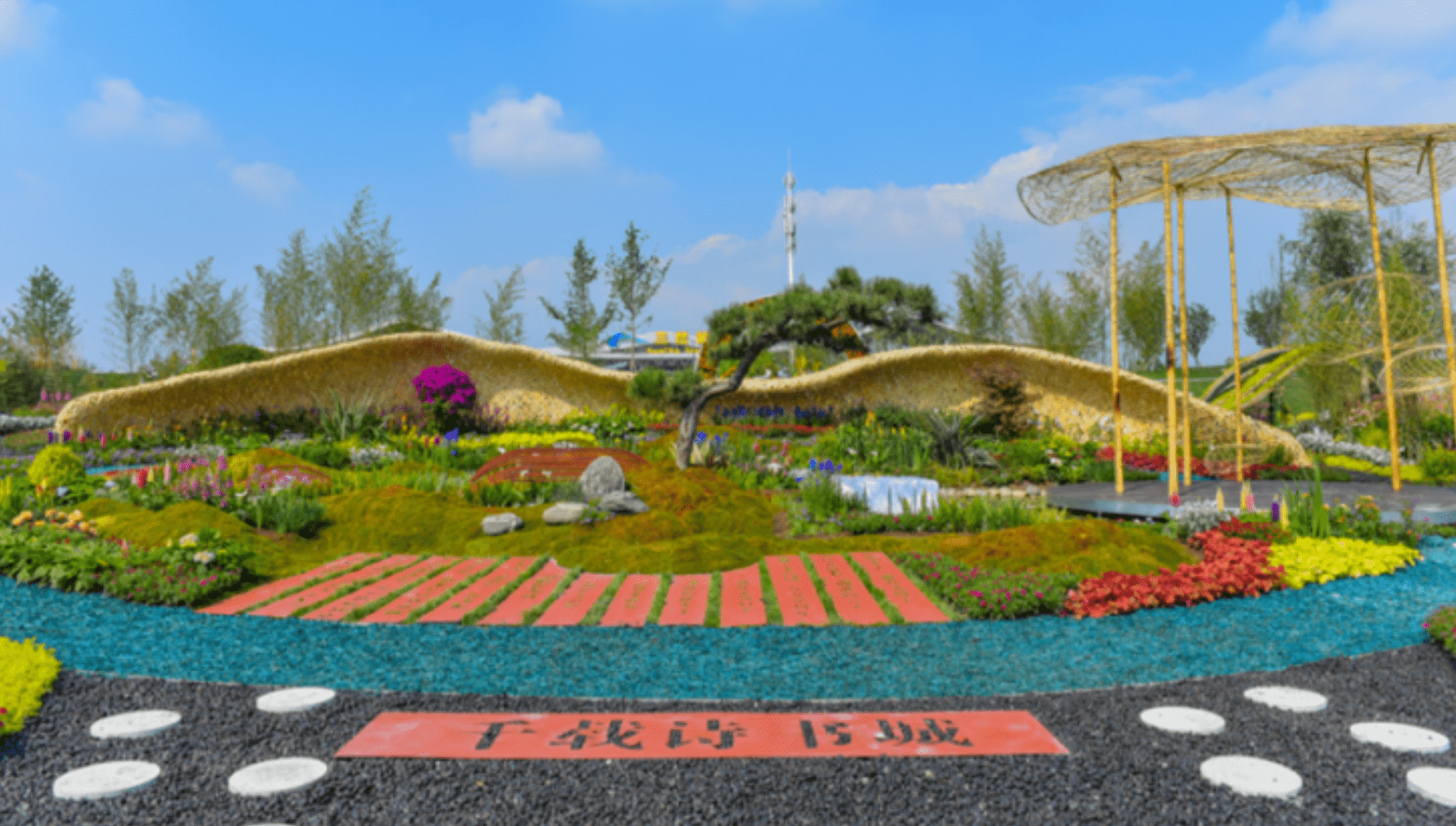 眉山注册的花小猪在成都可以跑吗(眉山注册的花小猪在成都可以跑吗现在)