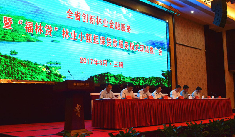 成都注册小额担保公司服务至上的简单介绍