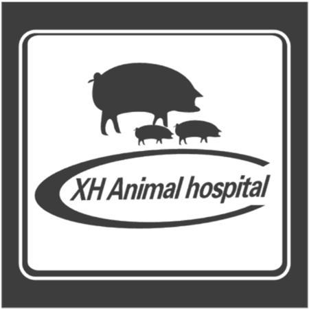 包含为动物提供服务成都商标注册公司的词条