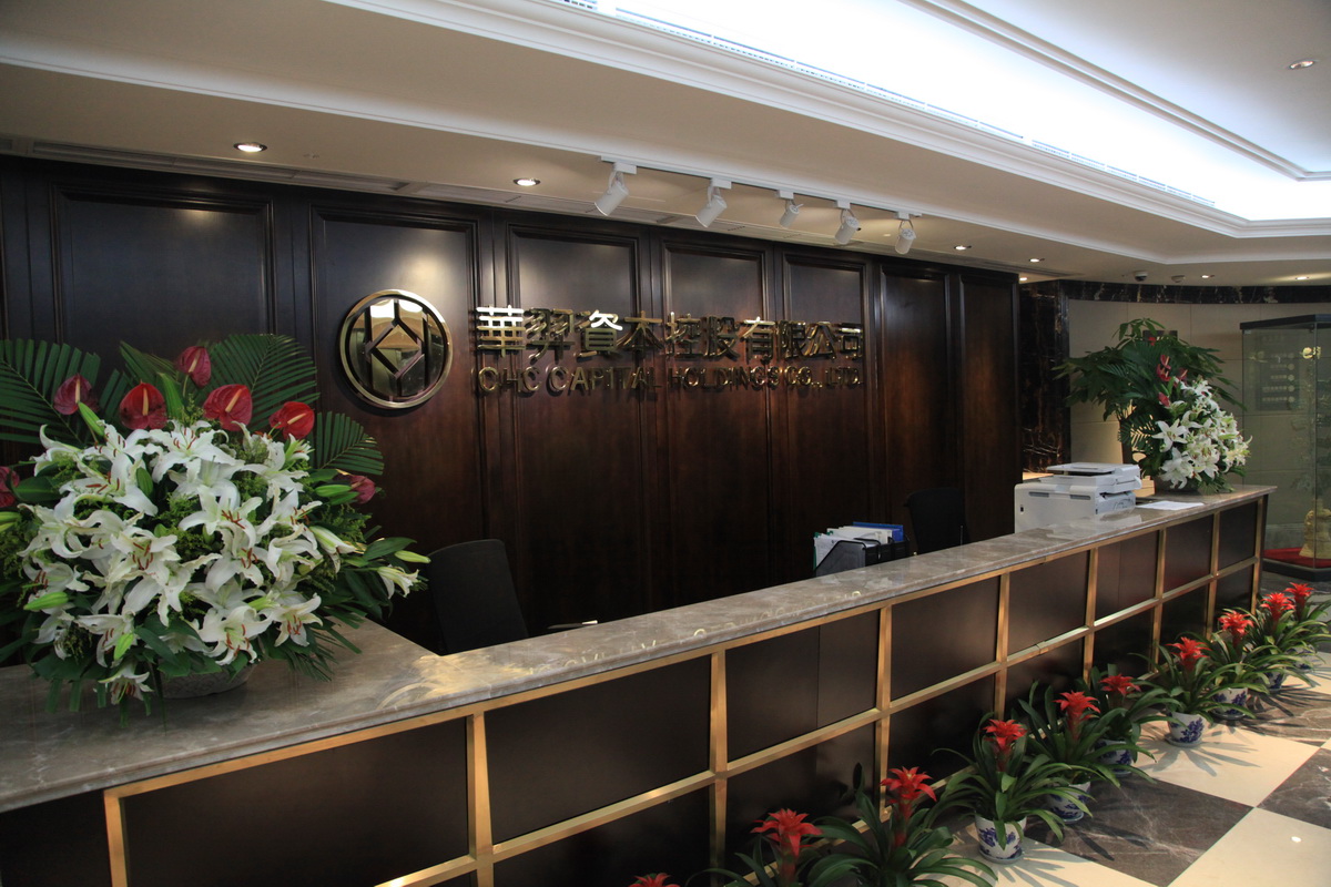 成都注册金融服务公司有哪些(成都注册金融服务公司有哪些名单)