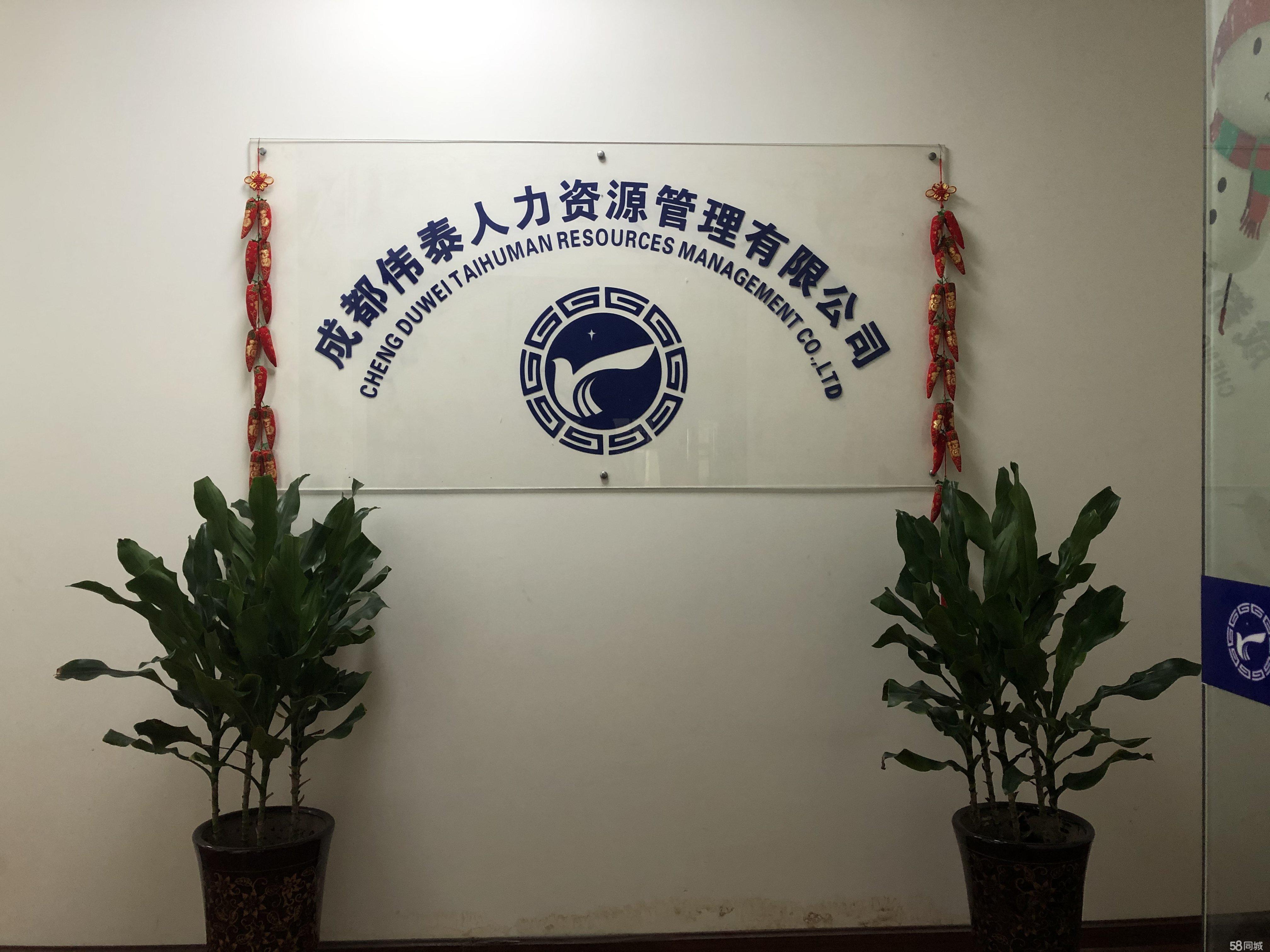 成都小型人力资源公司注册条件是什么(成都小型人力资源公司注册条件是什么样的)