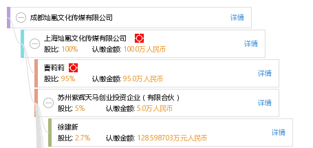 成都注册文化传媒公司费用(成都文化传媒有限公司营业执照)