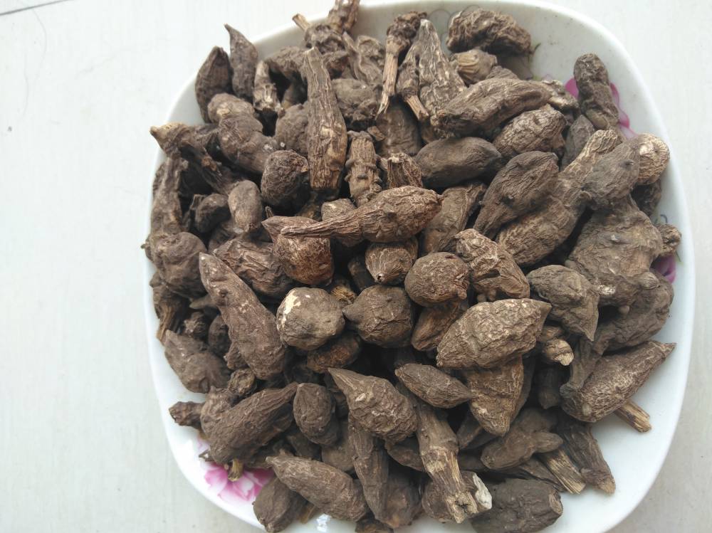 附子seo(附子SEO授权码)