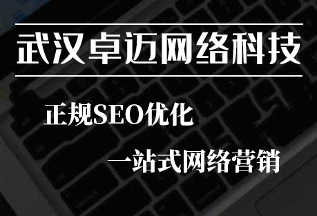 关于武汉seo公司哪家专业的信息
