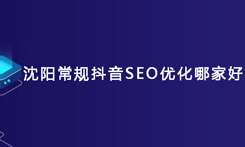 抖音seo培训(抖音SEO排名系统)