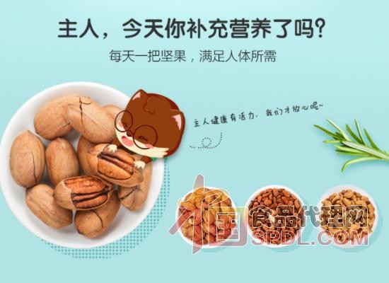 三只松鼠网络营销案例分析(三只松鼠网络营销方案PPT)