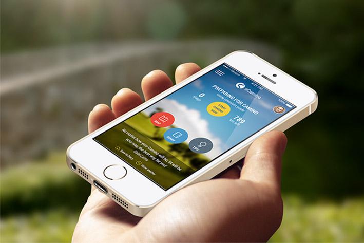 app开发(app开发公司)