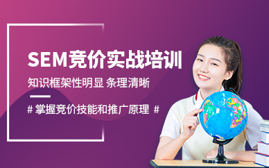 seo线下培训班(seo专业培训网络班)