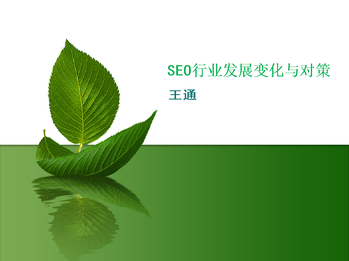 王通seo(王通识人的智慧) 王通seo(王通识人的智慧)