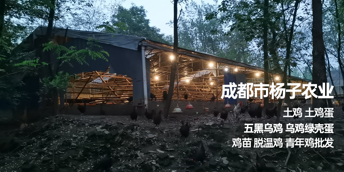 成都注册农业公司收费标准(成都注册农业公司收费标准是多少) 成都注册农业公司收费标准(成都注册农业公司收费标准是多少)