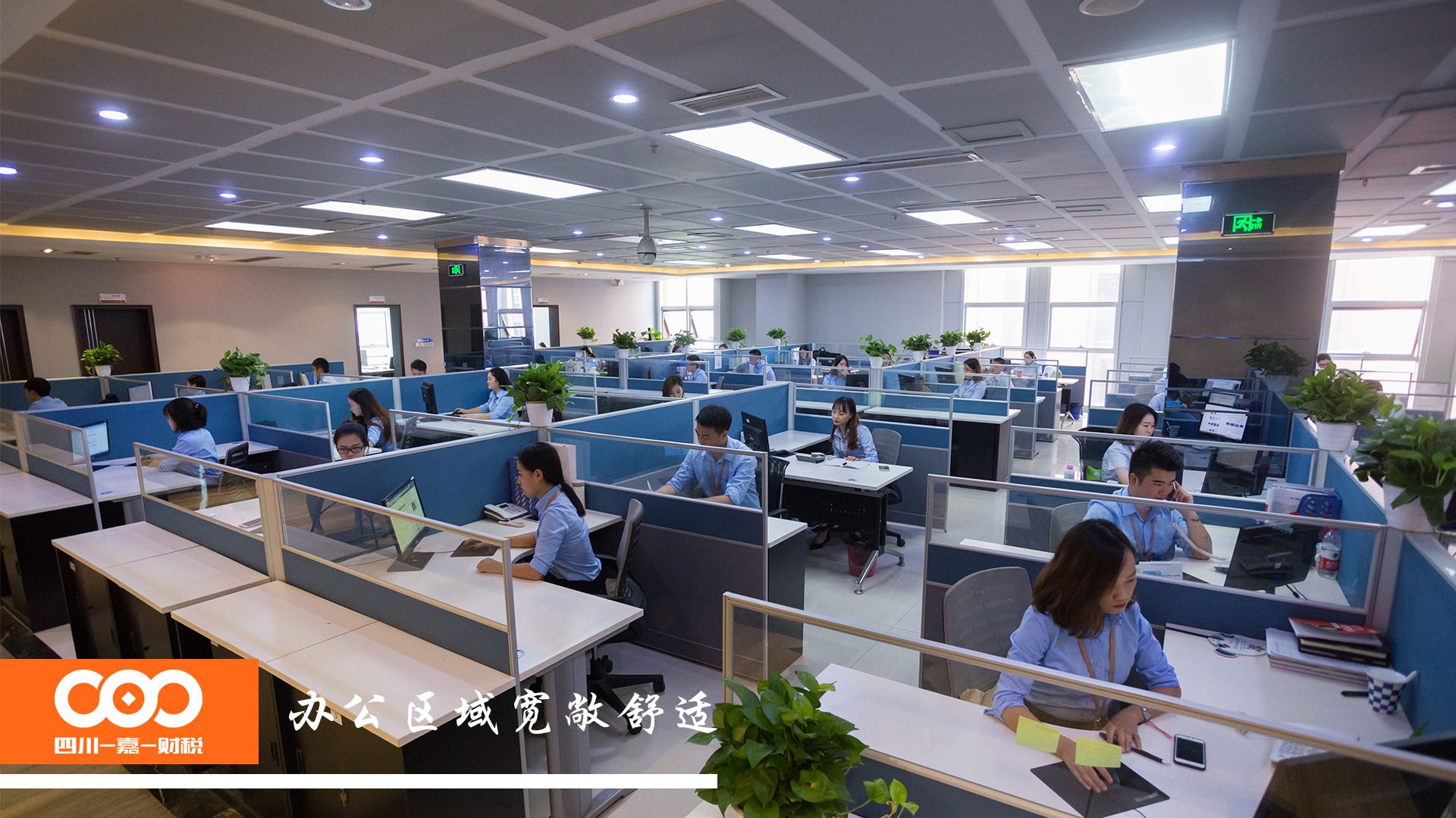 成都软件外包公司注册(成都软件外包公司注册地址) 成都软件外包公司注册(成都软件外包公司注册地址)