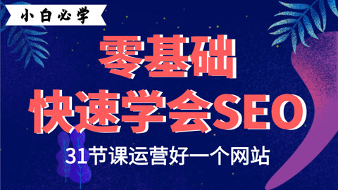 seo视频教程(seo具体操作视频)