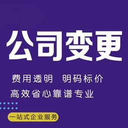 锦江区注册资金变更代办公司(成都锦江区个体营业执照注销地址)