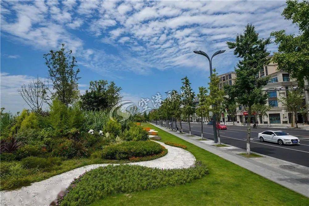 公司注册成都温江区双流(成都温江营业执照哪里办理)