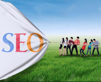 上海seo公司(上海seo优化多少钱)