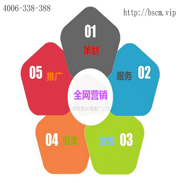 全网营销推广(全网营销推广软件)