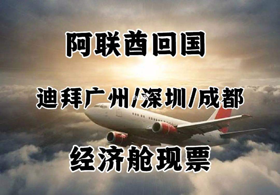 成都注册阿联酋公司(成都注册阿联酋公司条件)