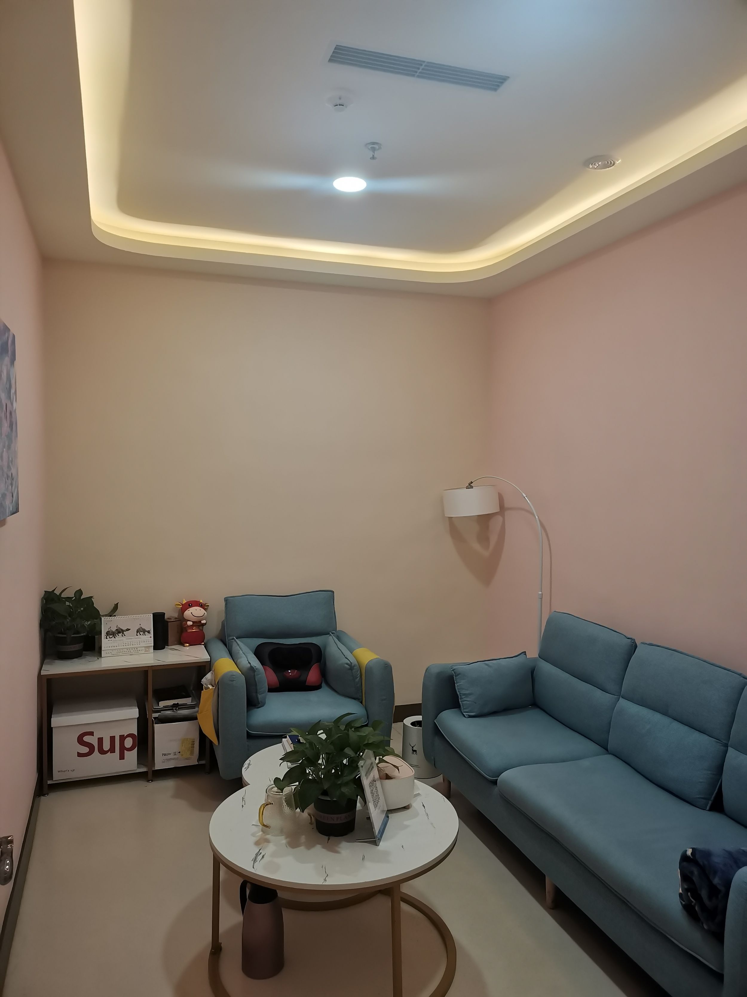 成都注册心理咨询公司要哪些资料呢(成都注册心理咨询公司要哪些资料呢多少钱)