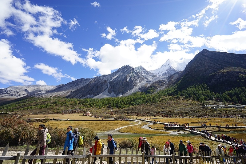 成都公司注册推荐稻城(成都公司注册流程及材料)