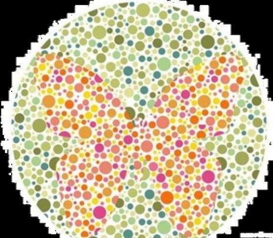 色盲测试图考驾照(色盲测试图考驾照图案)