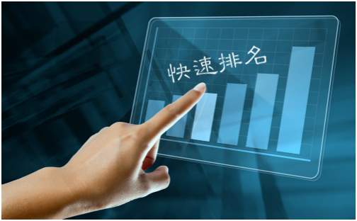 seo快速排名软件首页(seo快速排名软件首页怎么做)