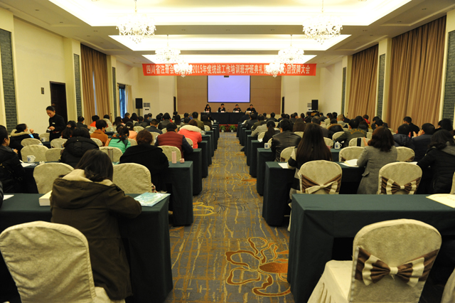 成都注册会计师行业党委(成都注册会计师行业党委书记是谁)