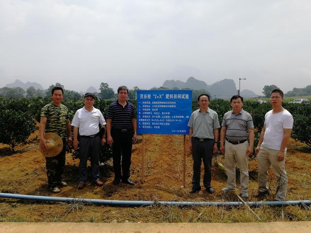 崇左网站建设的简单介绍