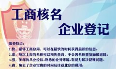 成都公司注册核名查询系统官网的简单介绍 成都公司注册核名查询系统官网的简单介绍