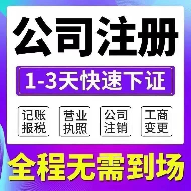 成都注册软件公司代办(成都网上代办公司注册)