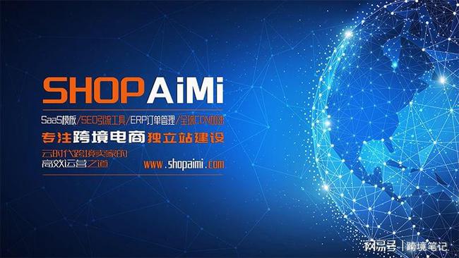 独立站seo实操(独立站seo搜索优化)