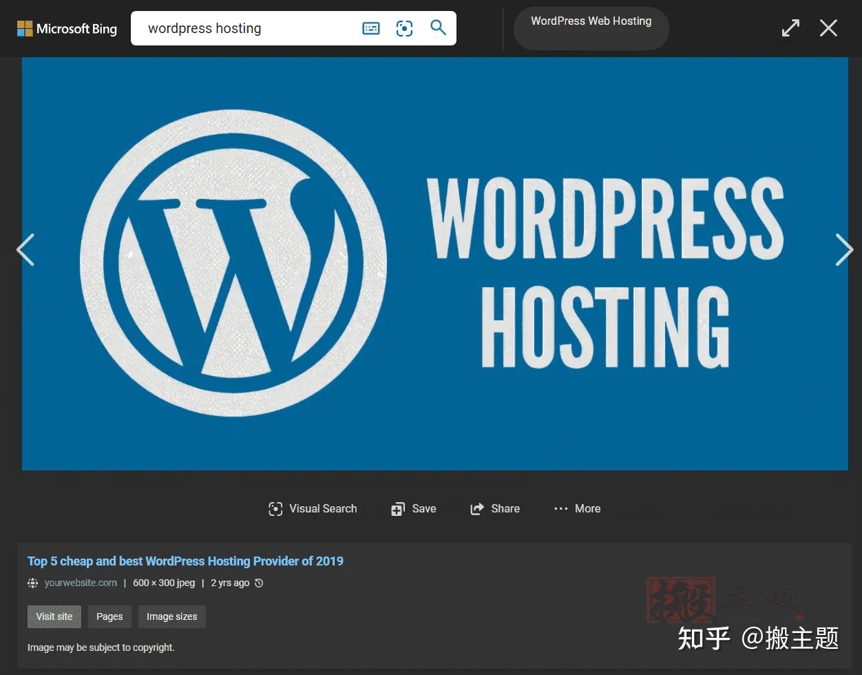 必应搜索(必应搜索国际版)