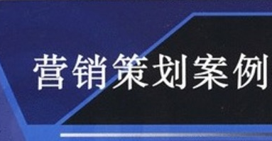 营销方案案例范文(怎么推广自己的产品) 营销方案案例范文(怎么推广自己的产品)